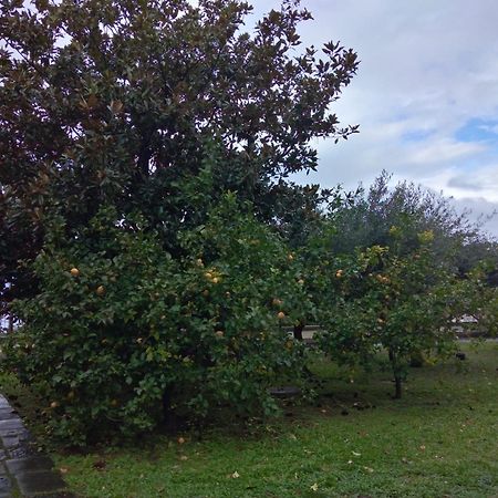 Villa Acton Castellammare di Stabia Exterior foto